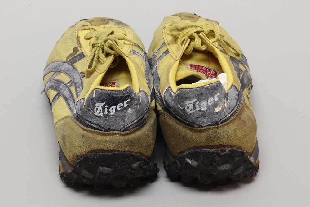 blue ribbon sports tiger shoes