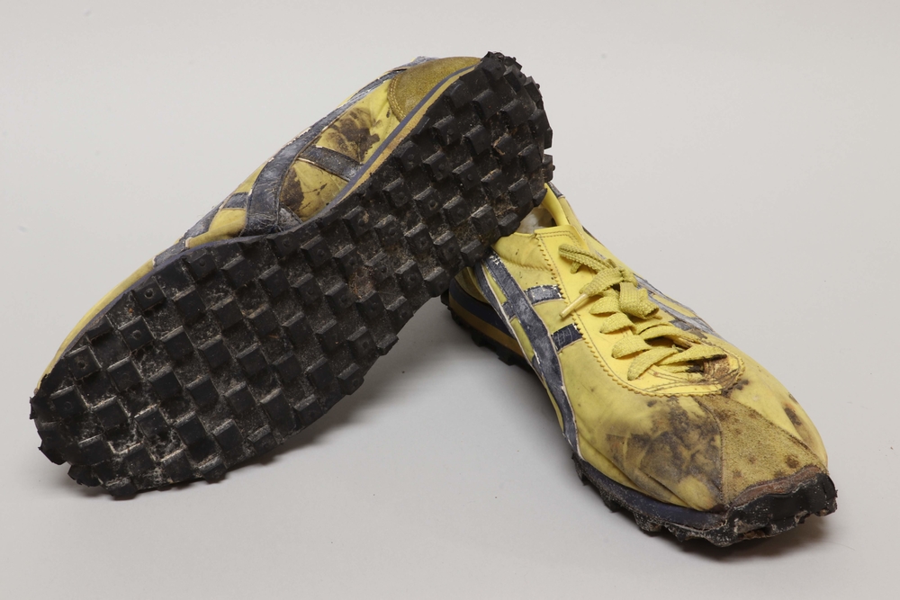 blue ribbon tiger shoes