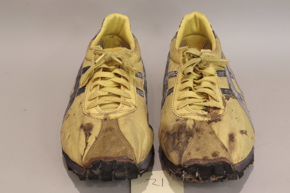 blue ribbon sports tiger shoes