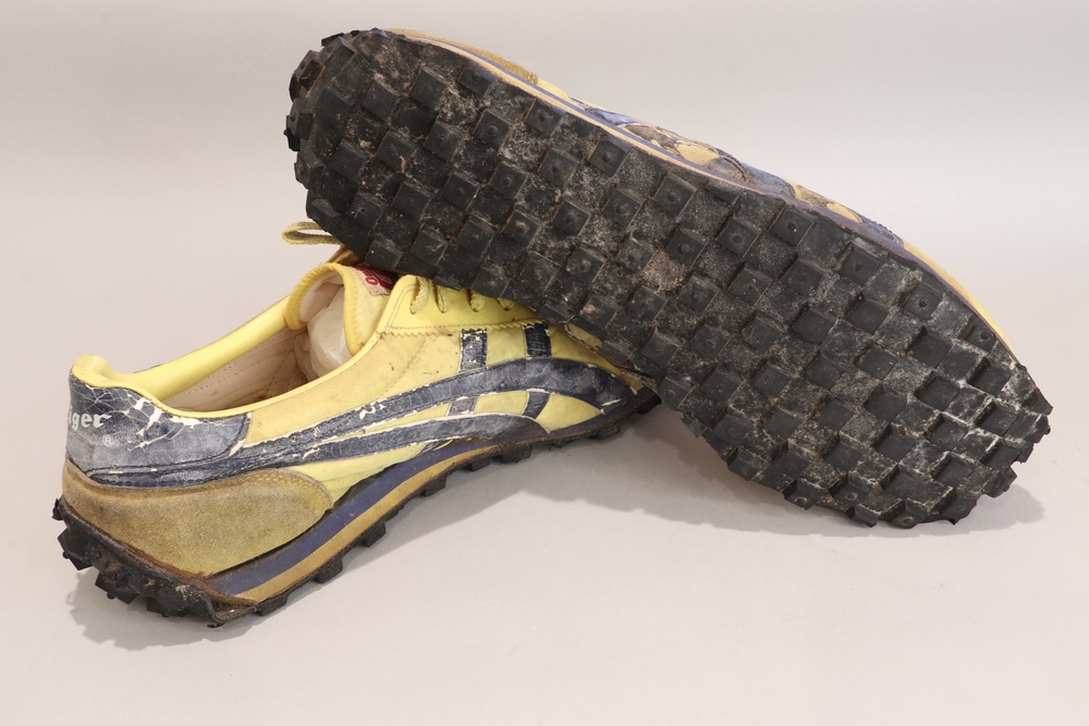 blue ribbon sports tiger shoes