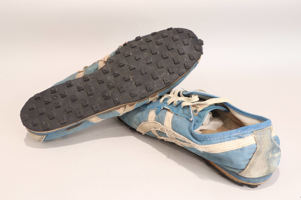 blue ribbon sports onitsuka tiger