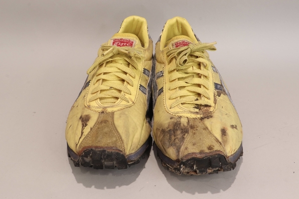 blue ribbon sports tiger shoes