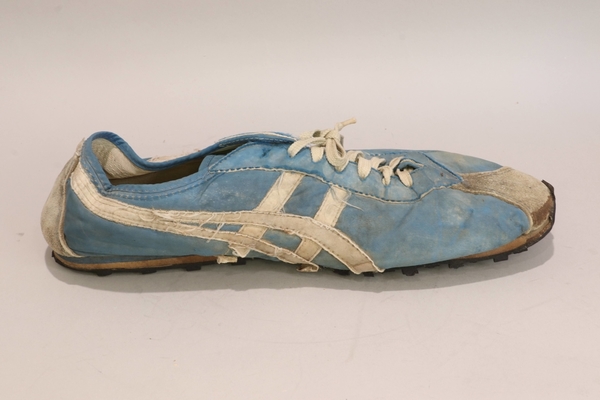 blue ribbon sports onitsuka tiger