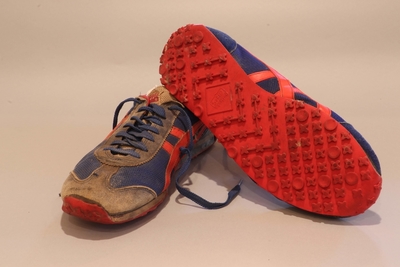 Image Shoes 26 - Onitsuka Tiger Enduro Training Shoes  (7th pair) blue with red stripes