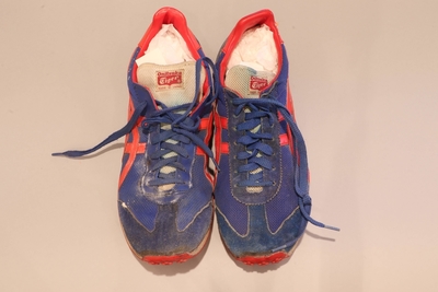 Image Shoes 22 - Onitsuka Tiger Enduro Training Shoes  (3rd pair) blue with red stripes